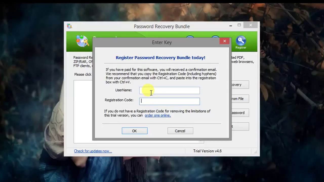 password recovery bundle crack serial